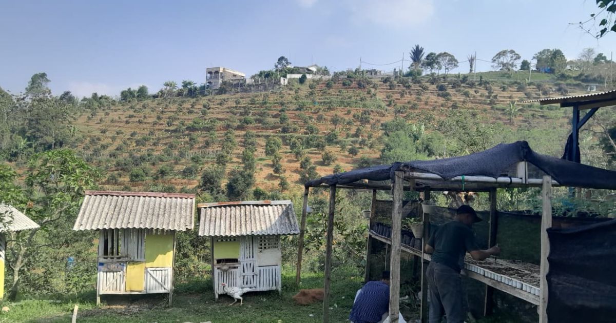 Kelompok Tani Salak Jaya di Cigombong Dukung PT BSS, Minta Tanah Segera Diukur