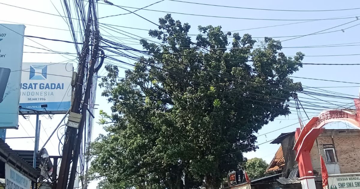 Aktivis dan KNPI Jasinga Desak Penertiban Kabel Semrawut Dramaga-Jasinga
