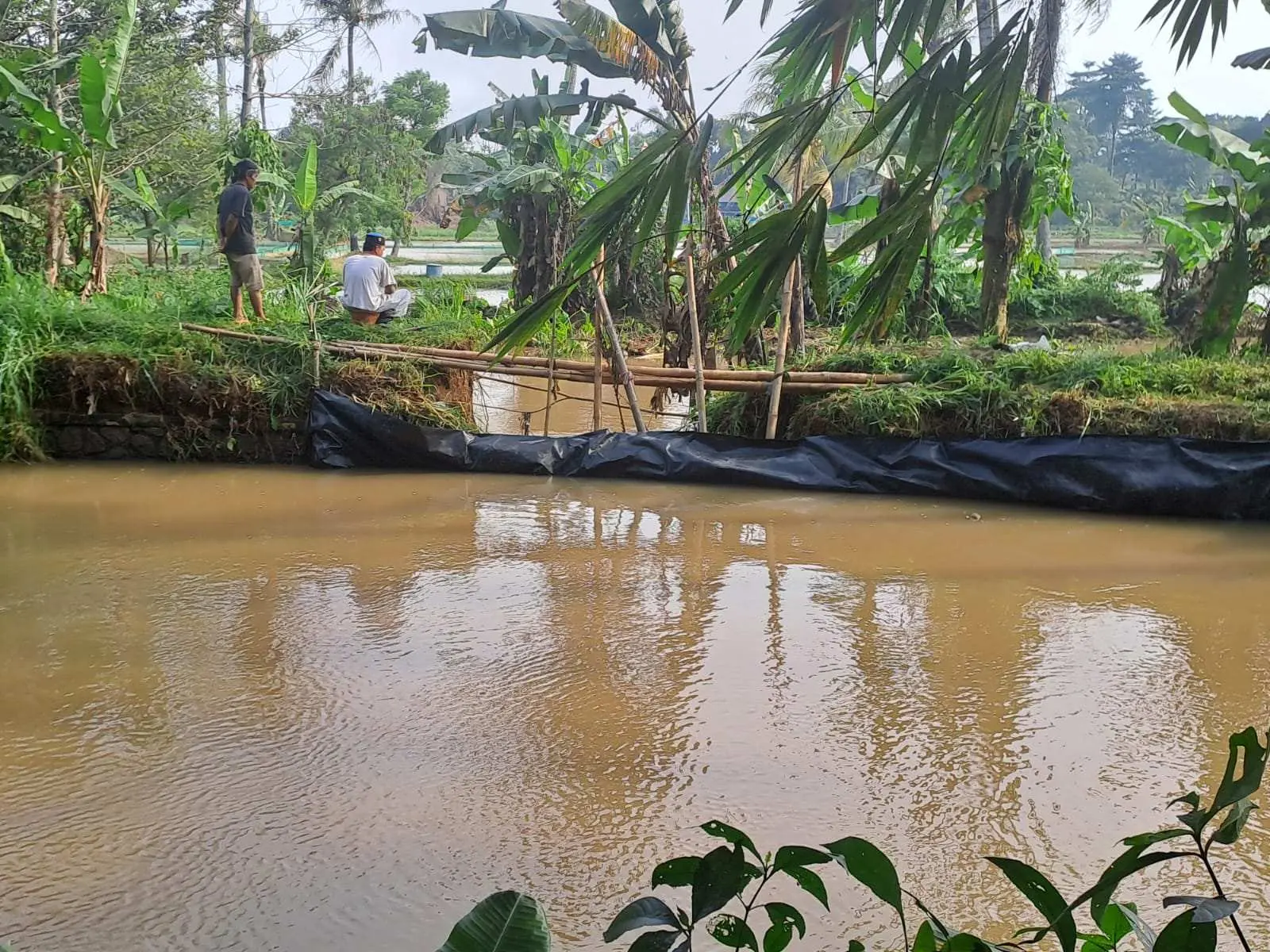 Banjir Rusak Tambak Peternak Ikan Desa Babakan, Pemkab Bogor Usulkan Perbaikan ke Pusat