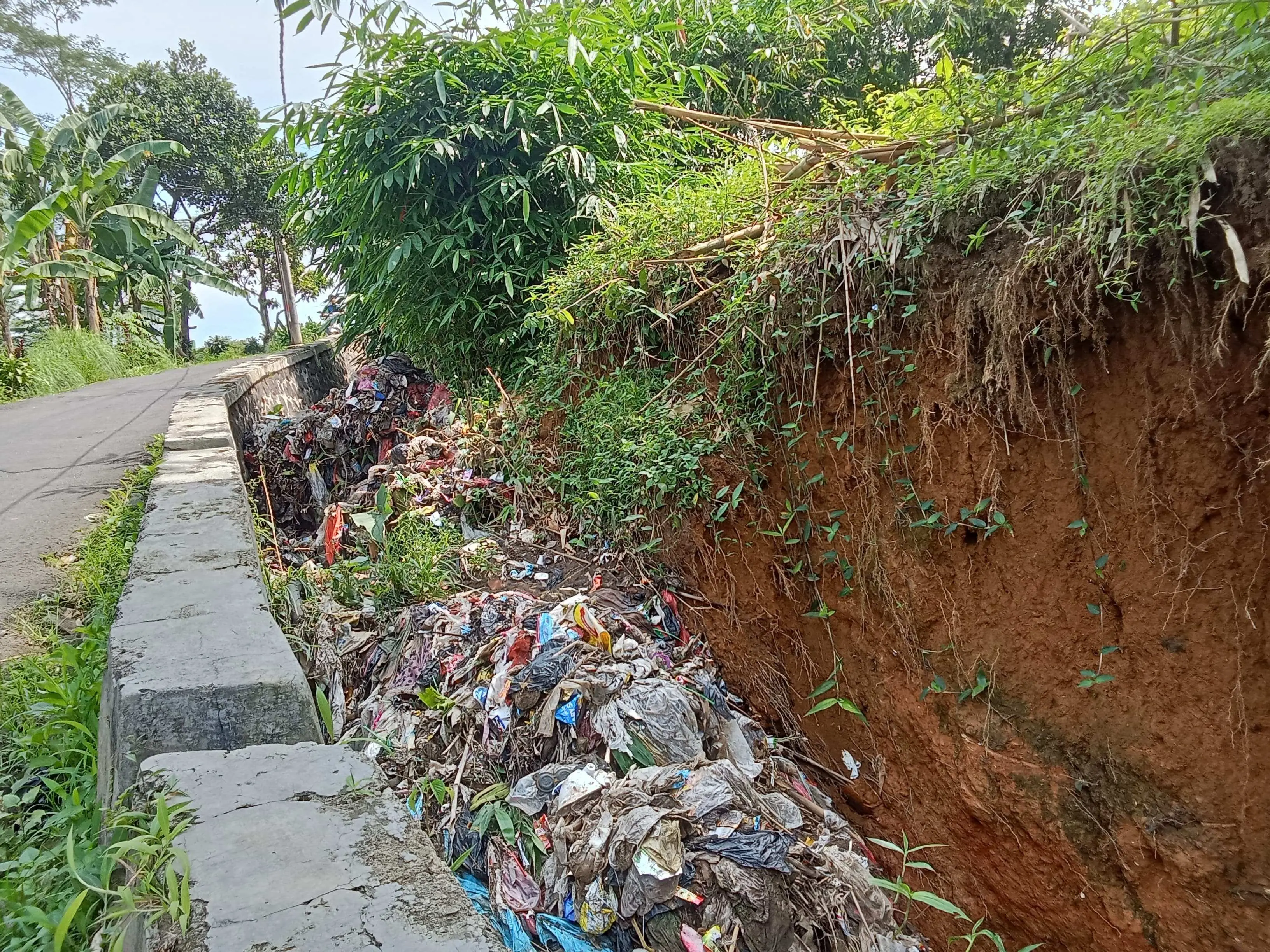 Drainase di Cigudeg Tersumbat, UPT DLH dan UPT Irigasi Wilayah V Turun Tangan