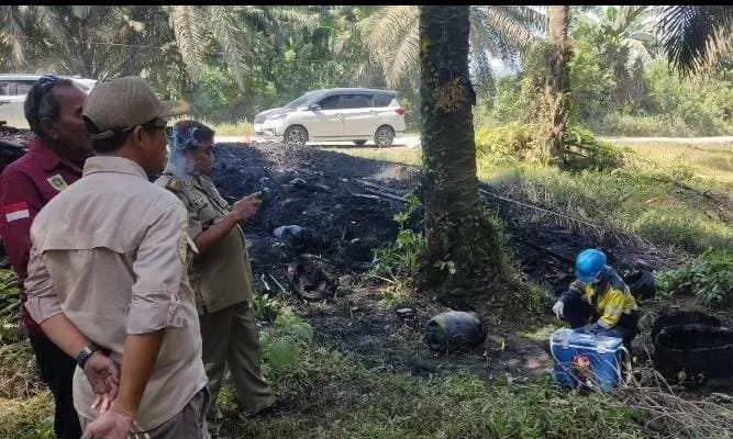 UPT DLH Wilayah VII Jasinga Tindaklanjuti Temuan Limbah B3 di Area Perkebunan Sawit Cigudeg