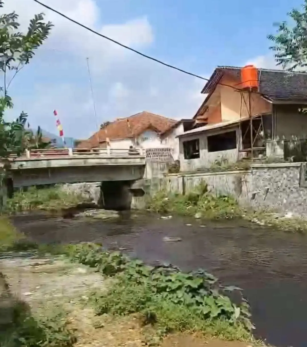 Limbah PTPN Diduga Cemari Sungai Cikalong di Cigudeg, Mengalir Hingga Jasinga