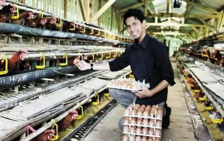 Hari Tani Nasional 2025: Jalan Panjang Petani Menuju Keadilan dan Kemandirian Agraria