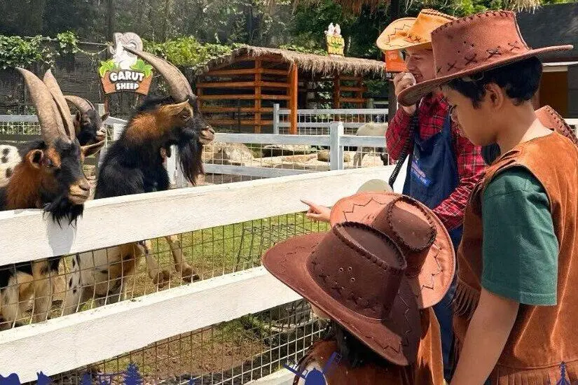 8 Destinasi Wisata Puncak Bogor Favorit Keluarga: Harga Tiket, Jam Buka & Fasilitas Lengkap